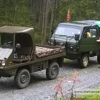 STEYR PUCH HAFLINGER zu verkaufen - thumb