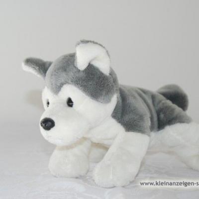 Plüsch Husky - thumb