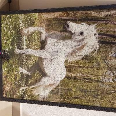 Großes Puzzle Schimmel mit Rahmen - thumb