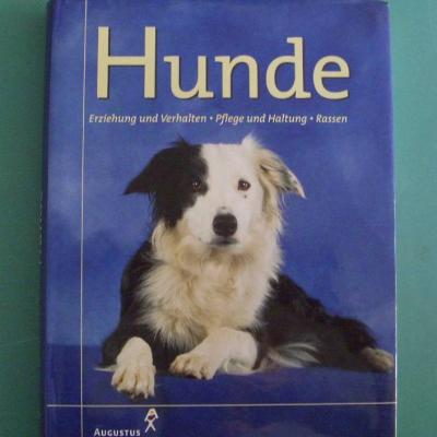 Buch zum Thema Hunde zu verkaufen - thumb