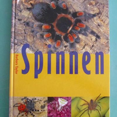 Buch über Spinnen zu verkaufen - thumb