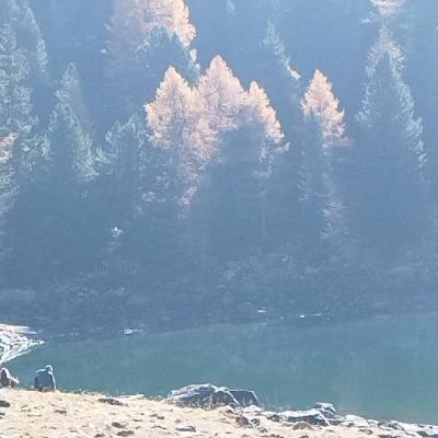 Wander / Freund/e gesucht - thumb