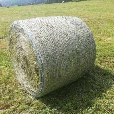 Suche Heu/Heuballen für Pferde - thumb