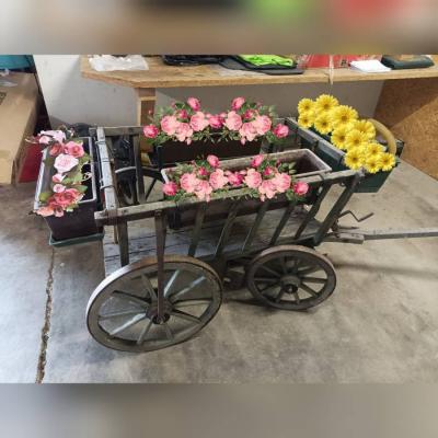 Alter Leiterwagen mit Blumenkästen - thumb