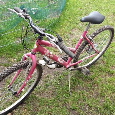 Damenfahrrad Mädchenfahrrad - thumb