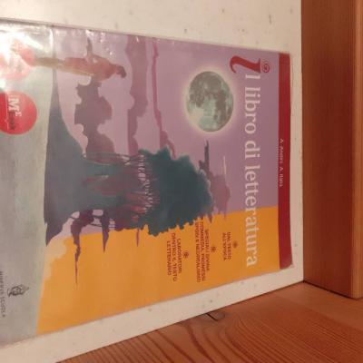 Il libro di letteratura - thumb