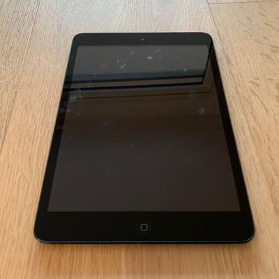 iPad mini Wi-Fi 16GB - Nero e ardesia - thumb