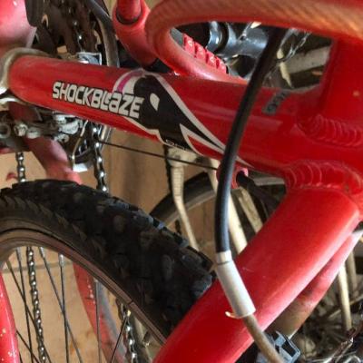 Fahrrad für Jugendliche - bici per addoloscente - thumb