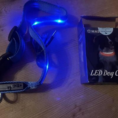 Hundehalsband LED USB aufladbar Blau - thumb