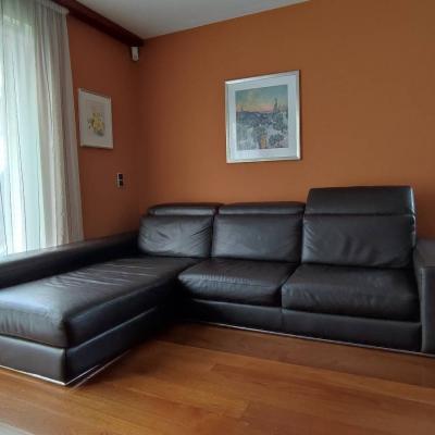 Ecksofa 2,9m x 2m in Echtleder - thumb