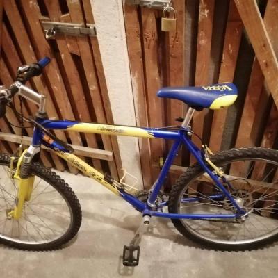 Mountain-bike - thumb