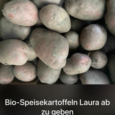 Bio-Speisekartoffeln - thumb