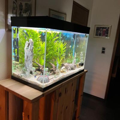 Aquarium mit zwei Pumpen ein ganz neu - thumb