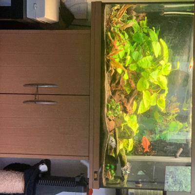 Juwel 120 lt - thumb
