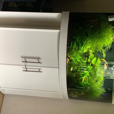 Aquarium Juwel Trigon 190lt - thumb