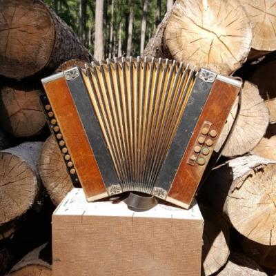 Antike Ziehharmonika über 100 Jahre alt - thumb