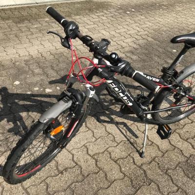 Focus Kinderfahrrad 24 Zoll - thumb