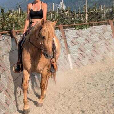 Reitbeteiligung - thumb