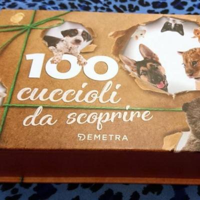 100 cuccioli Bild+ / Infokarten Tierbabies, Welpen - thumb