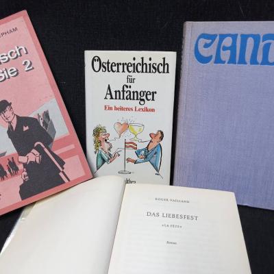 Bücher: Candy-Österreichisch für Anfänger-Das Liebesfest-Englisch für - thumb