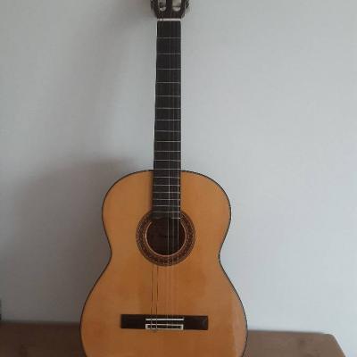 Gitarre IBANEZ - thumb