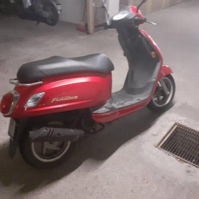 Scooter 50 ccm zu verkaufen - thumb