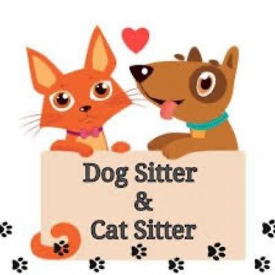 Cat Sitter in Feldthurns gesucht - thumb