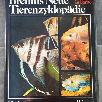 Großes Buch über Fische - thumb