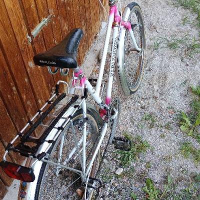 Damen Mountainbike - thumb