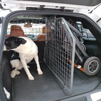 Hunde- Gitter Jeep Grand Cherokee mit Kofferraum Matte - thumb