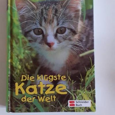 Die klügste Katze der Welt - thumb