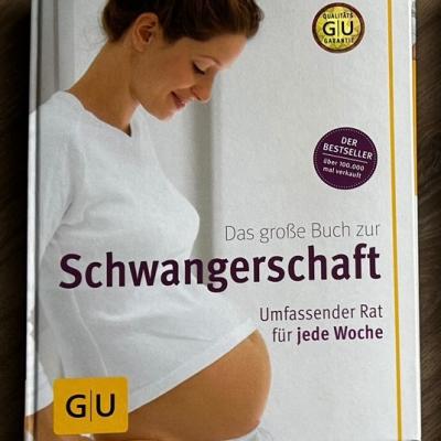 Die Schwangerschaft Buch - thumb