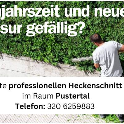 Biete Heckenschnitt / Zypressenschnitt im Raum Pustertal - thumb