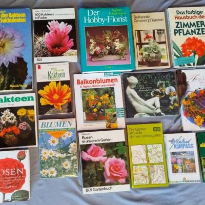 Rosen, Kakteen, Zimmerpflanzen, Garten, Floristik... - thumb
