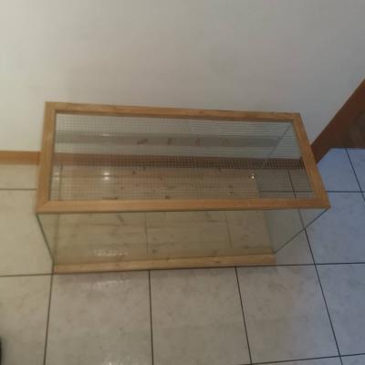 Terrarium in Glas - thumb
