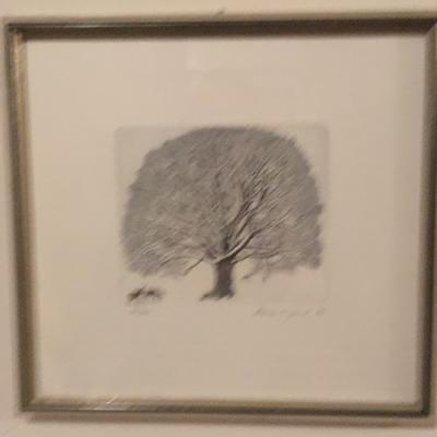 Norma C. Hauck Bild - thumb