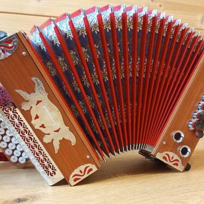 Steirische, Ziehharmonika Kärntnerland Edelweiß Mini GCF - thumb