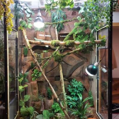 Großese Terrarium - thumb