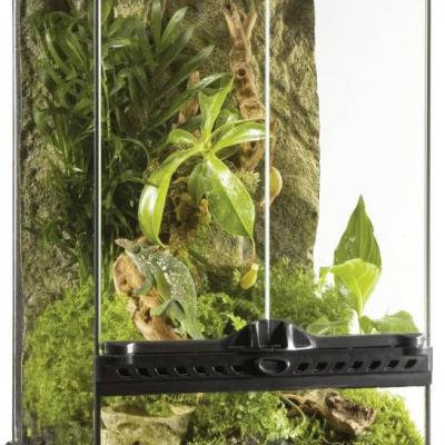 Terrarium verschiedene - thumb
