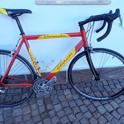 Rennrad Marke Primula Coach - thumb