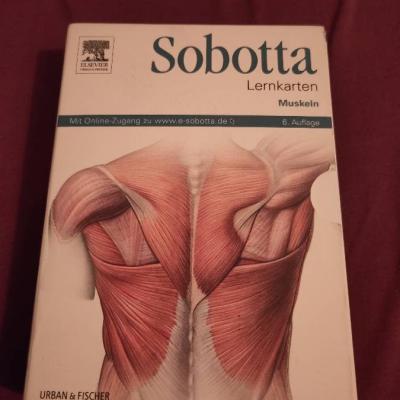 Sobotta Lernkarten Muskeln - thumb