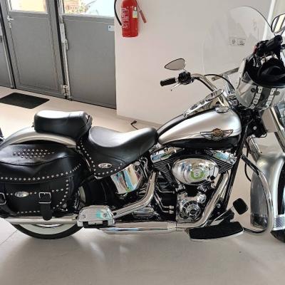 Harley Davidson zu verkaufen - thumb