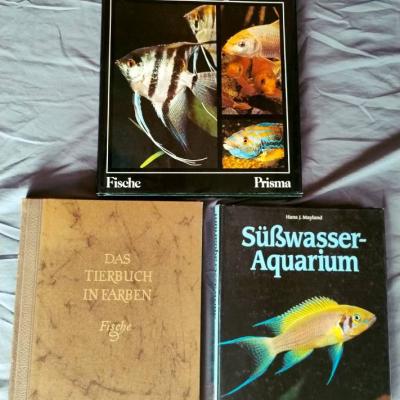 3 Große Bücher Fische & Aquaristik - thumb