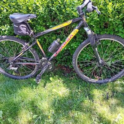Damenmontainbike - thumb