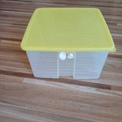 Tupperware Aufbewahrungsbox Gemüse - thumb