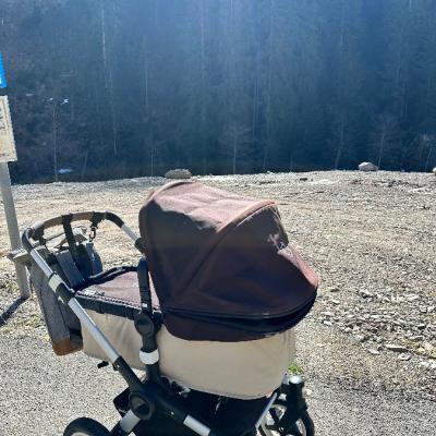 Hallo verkaufe in bugaboo buffalo in guten Zustand! - thumb