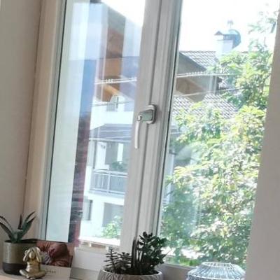 Fenster zu verschenken - thumb