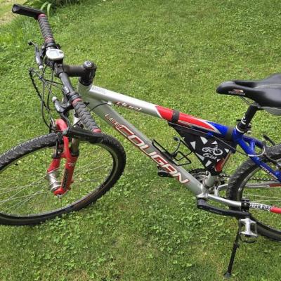 Damen-Moutainbike - thumb