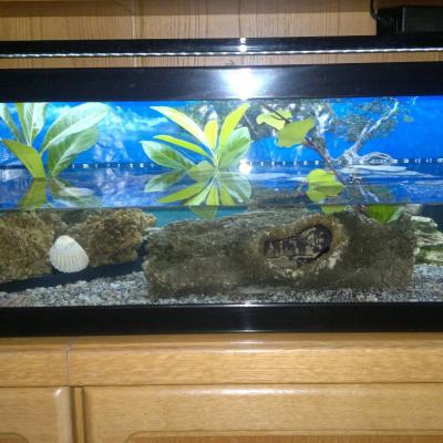 AQUARIUM  der Marke "AQUATLANTIS" - thumb