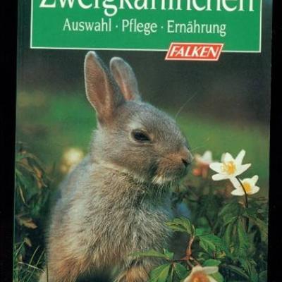 Zwergkaninchen Auswahl,Pflege,Ernährung - thumb